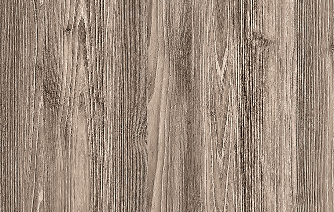 Asel AGT L128 Faralya